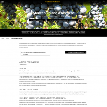 Articoli. Focus correlazioni tematiche