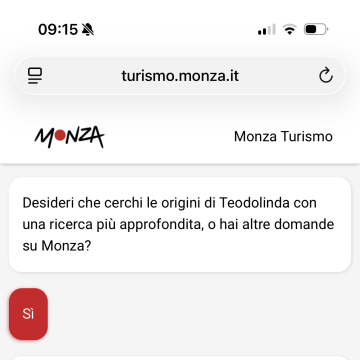 Utilizza la ricerca Google quando non trova risposta nei dati certificati