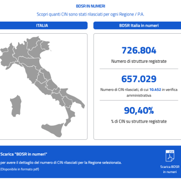 L'infografica dinamica "BDSR IN NUMERI"